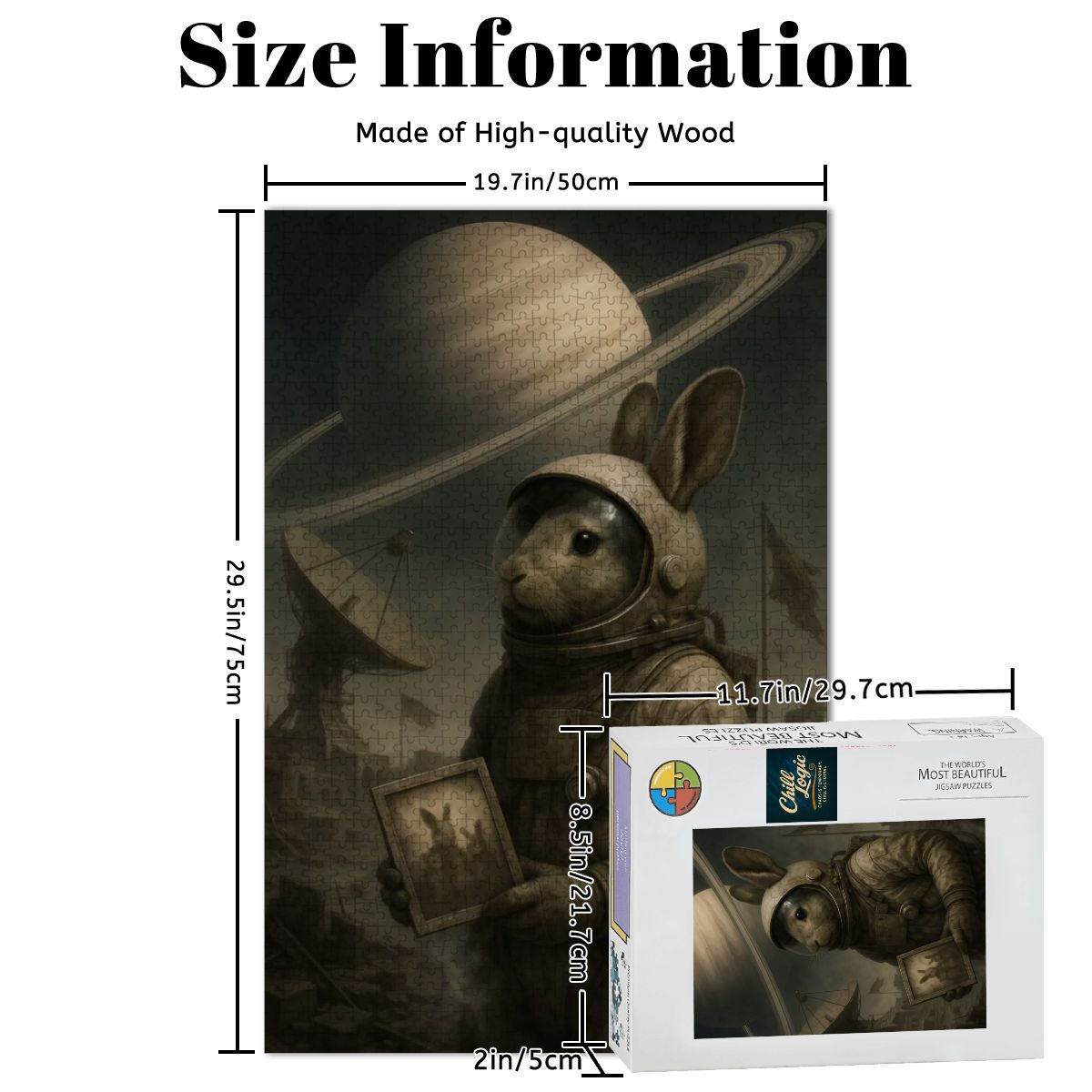 Hopstronaut: Last Transmission